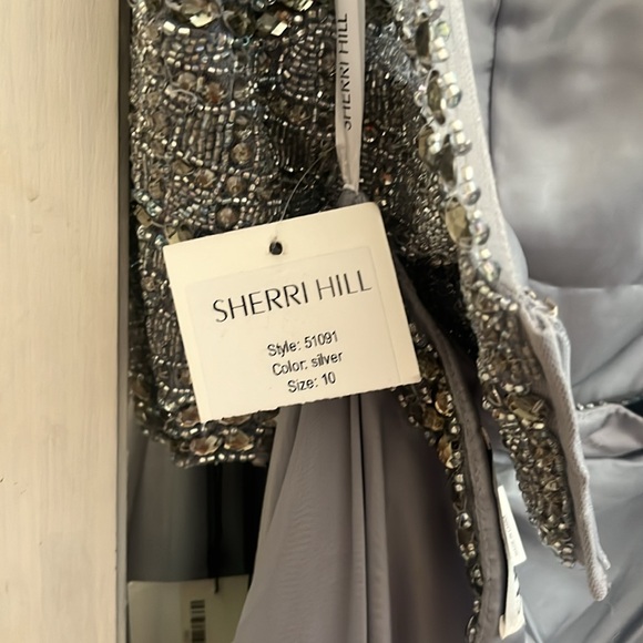Elegant Sherri Hill Homecoming Winter Formal Prom dress, silver, size 10 - Picture 10 of 10